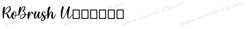 RoBrush U字体转换
